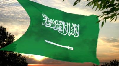 تجنيس أبناء المواطنات السعوديات