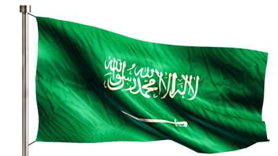 اللائحة التنفيذية للتجنيس في السعودية