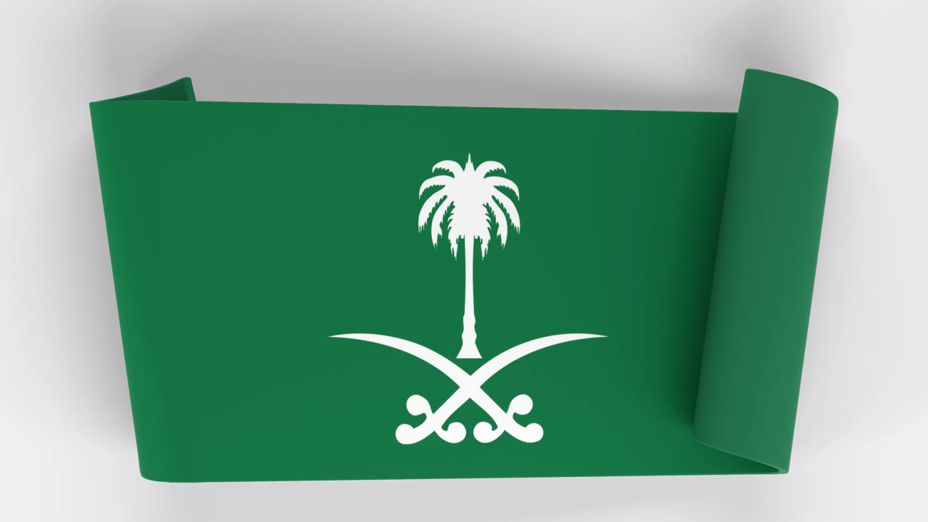 قرار التجنيس الجديد 2025